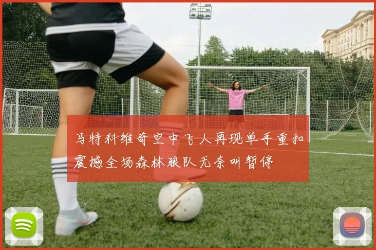 马特科维奇空中飞人再现单手重扣震撼全场森林狼队无奈叫暂停