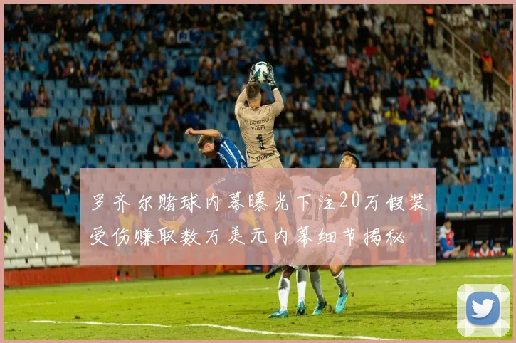 罗齐尔赌球内幕曝光下注20万假装受伤赚取数万美元内幕细节揭秘